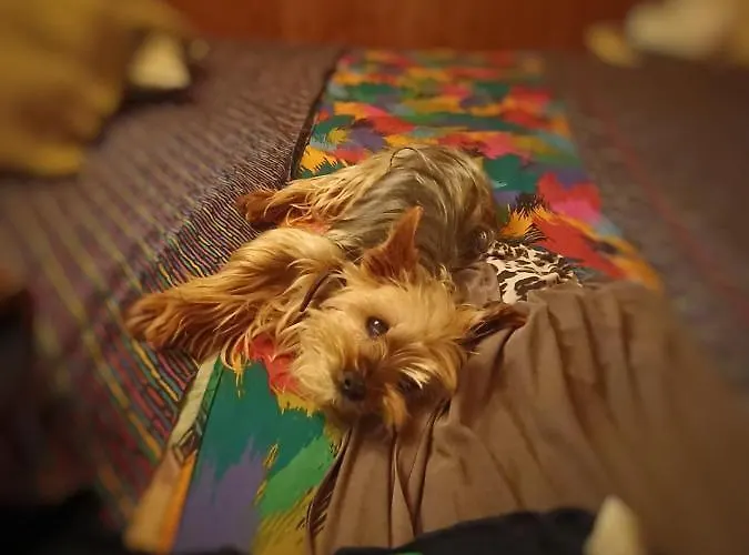 A Casa Di Ada Campolongo