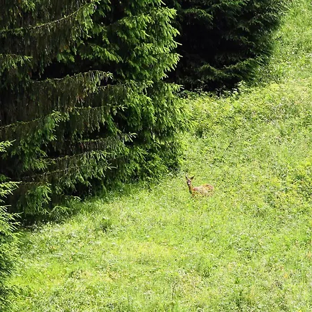 A Casa Di Ada Oda ve Kahvaltı 4*