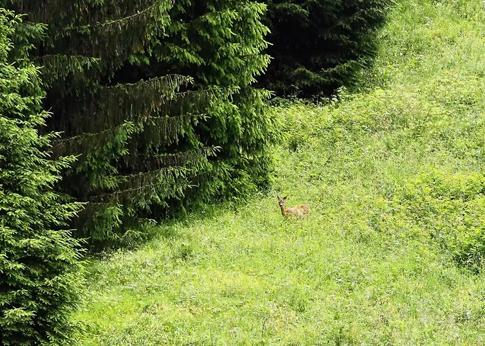 A Casa Di Ada Nocleg ze śniadaniem 4*